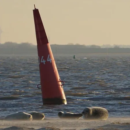 Apartamento Meyers Logierhaus Krebs *