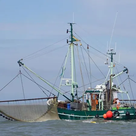 Meyers Logierhaus Krebs Norderney